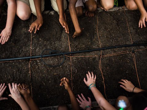 Growing Deeper Learning in Your Classroom: How Agriculture Education Enhances eLearning