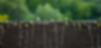 AdobeStock_517269885.jpeg