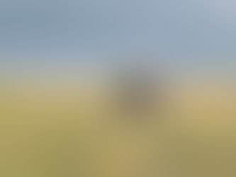 Farm Families: Lazy M Bar Ranch