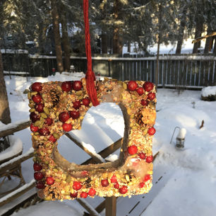 Valentine's Day Bird Feeder
