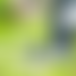 Seven Farm-Fun Spring Activities for Kids!