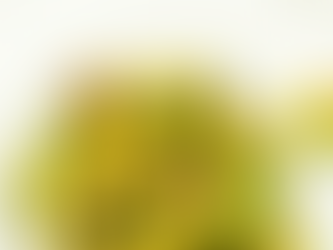 Roasted Brussels Sprouts