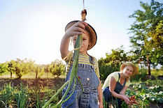 AdobeStock_429115937.jpeg