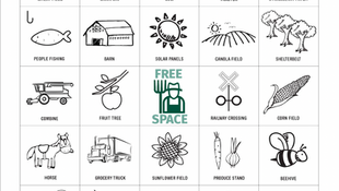 Summer Road Trip Ag Bingo
