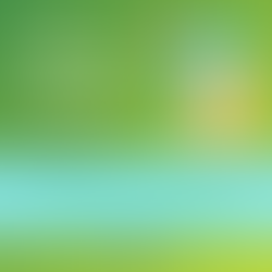 Proper Hand Washing Techniques & Sing-Along Songs!