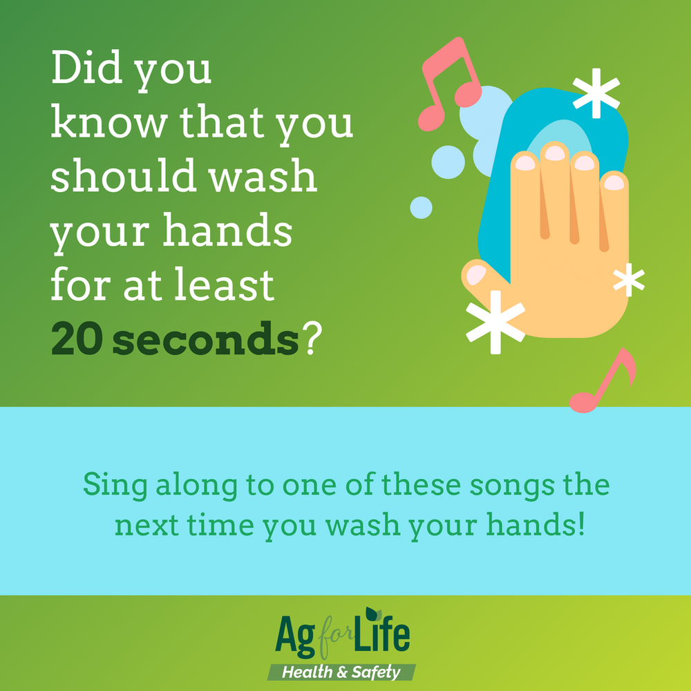 Proper Hand Washing Techniques & SingAlong Songs!
