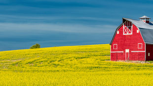 Red Barns: A Timeless Connection to the Land and the Classroom