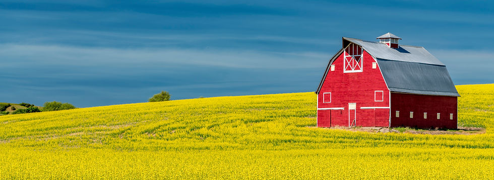 Red Barns: A Timeless Connection to the Land