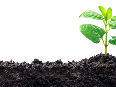 What is Soil? 