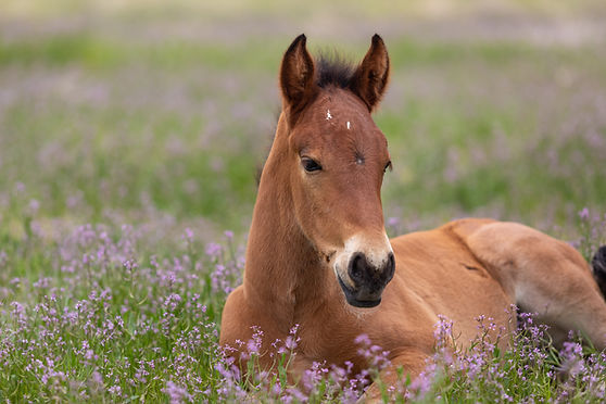 AdobeStock_292181381.jpeg