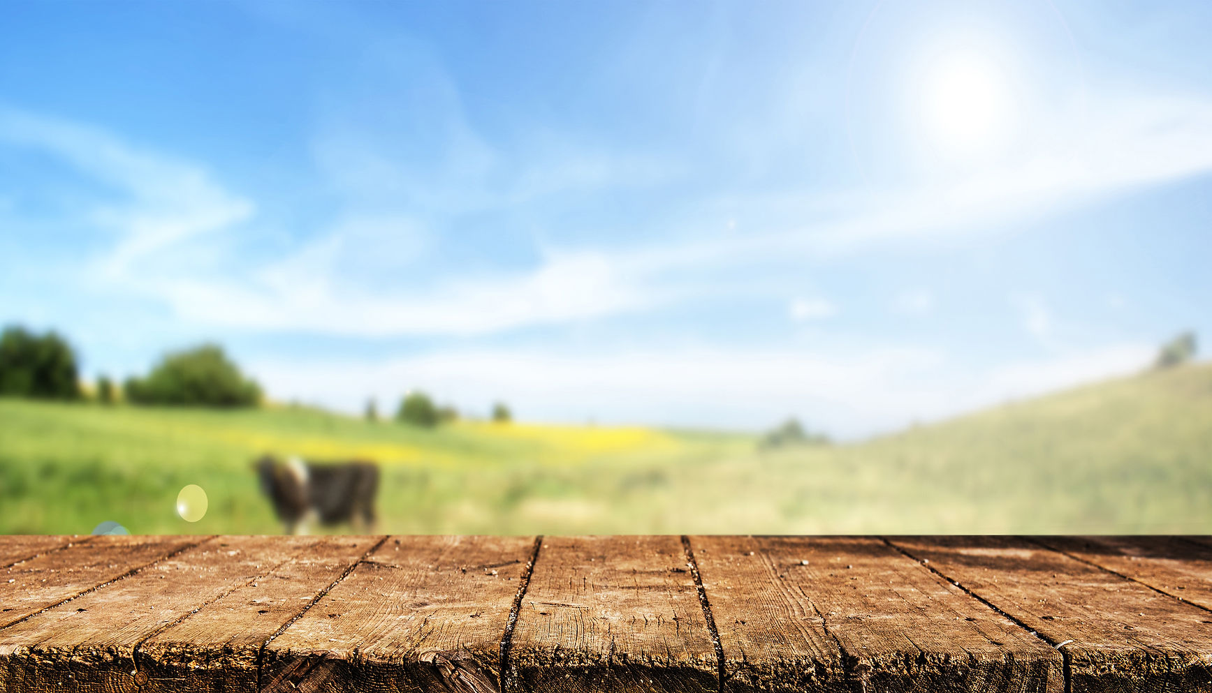 AdobeStock_210989896.jpeg