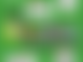 The Farmyard Detectives: Introducing Our New Kid's Podcast!