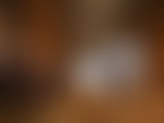 Ensuring Safety in the Food Value Chain