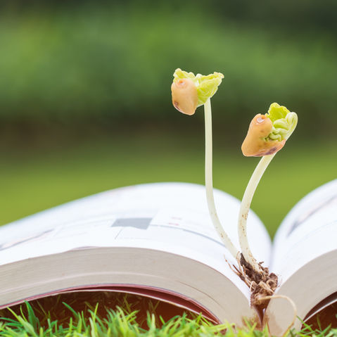 Agriculture Education in Every Classroom: Why It’s Not Just for Agriculture Schools