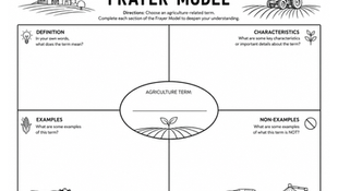 Frayer Model