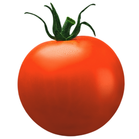 Copy of Untitled (1).png