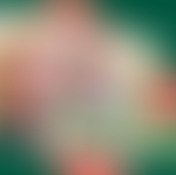 Farm Animal Wooden Spoons