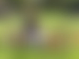 Balancing the Risks and Rewards for Youth Involved on the Farm