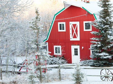 Why Are Barns Red? 
