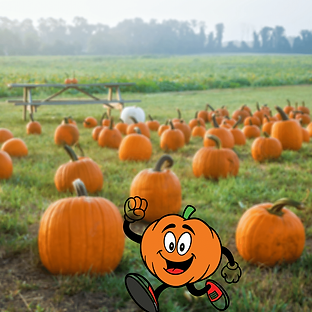 Nov (11).png