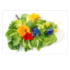 Untitled design (22).png