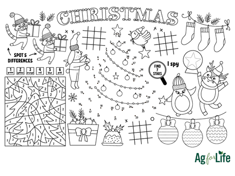 Holiday Activity Sheet