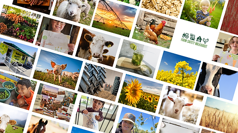 _CollageYoutube Cover (1).png