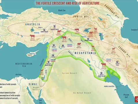 What is the Fertile Crescent?
