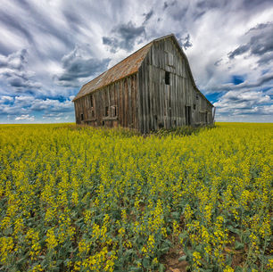 Home Grown: Abandoned Alberta