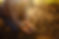 AdobeStock_462047434.jpeg