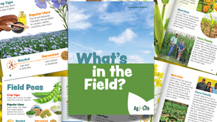 What’s in the Field? A Closer Look at Alberta’s Crops — and Why They Matter