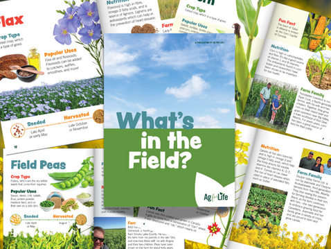 What’s in the Field? A Closer Look at Alberta’s Crops — and Why They Matter