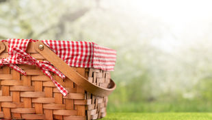From Harvest Feasts to Summer Outings: The History of Picnics and Their Roots in Agriculture