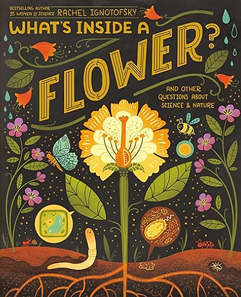 Screenshot 2025-11-03 at 11.53.10 AM.png