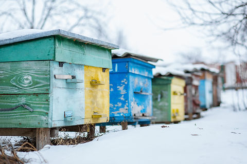 AdobeStock_242759160.jpeg