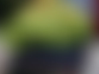 How Does Agriculture Help Us Achieve the Economic SDGs?