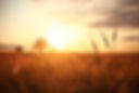 AdobeStock_93470947.jpeg