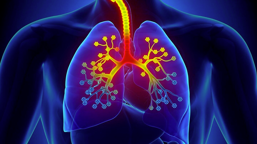 š¬ļøš³ How to Control Asthma ?š³š¬ļø