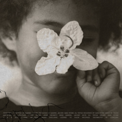 be careful - Gabriel Jacoby