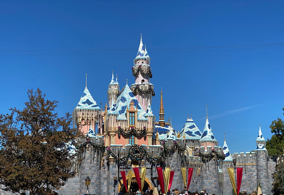 Sleeping Beauty's Castle at Disneyland, all ready for the winter holidays