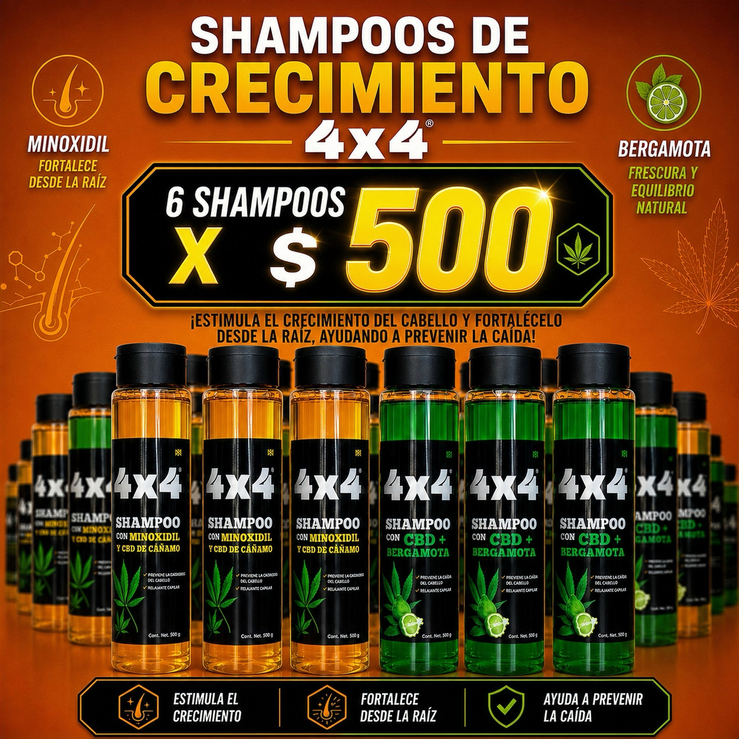 6 de Shampoo CRECIMIENTO