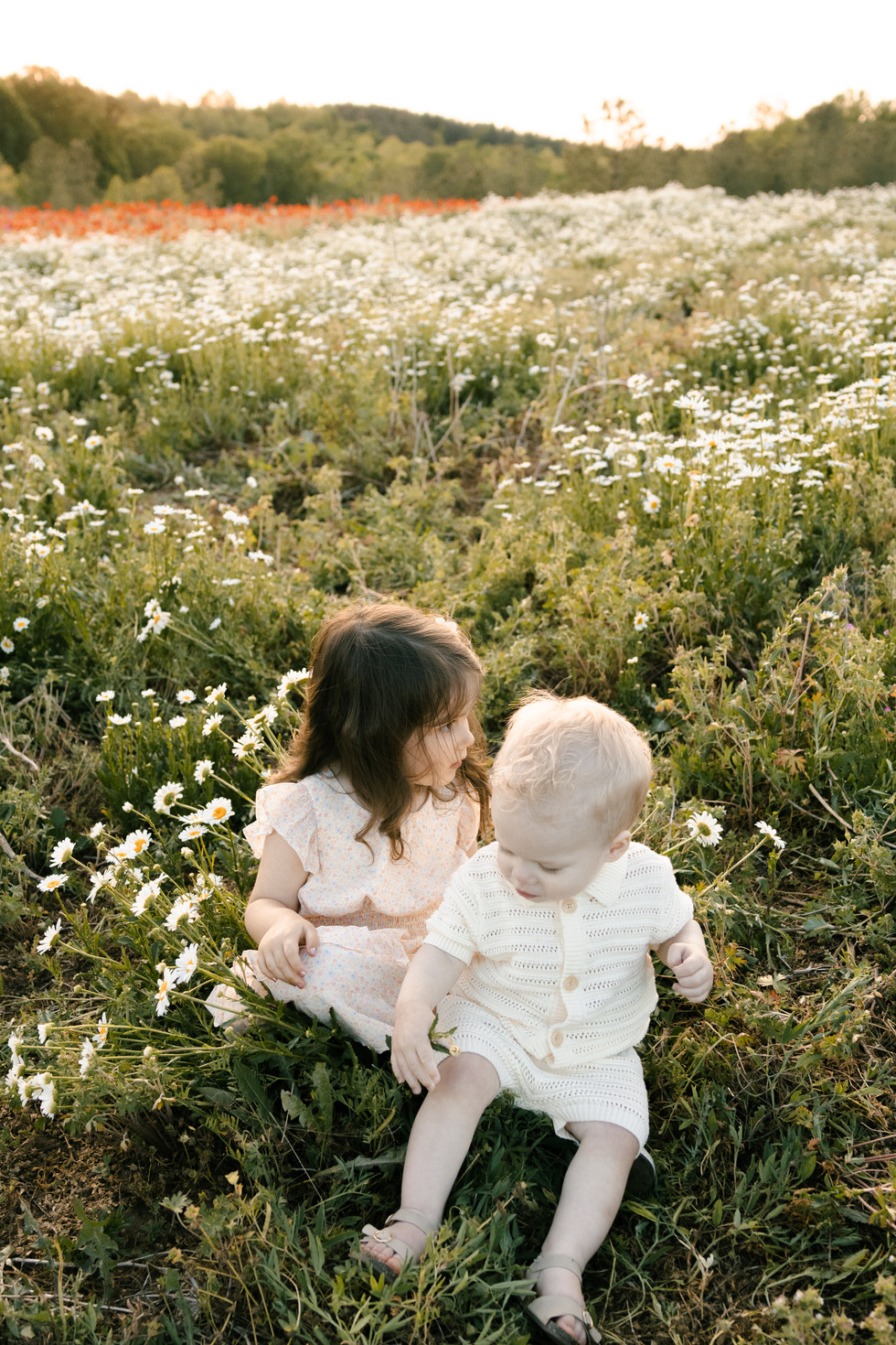 sister and brother in a flower field