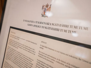 Ngāti Rāhiri Tumutumu Settlement Bill, 3rd and Final Reading EOI