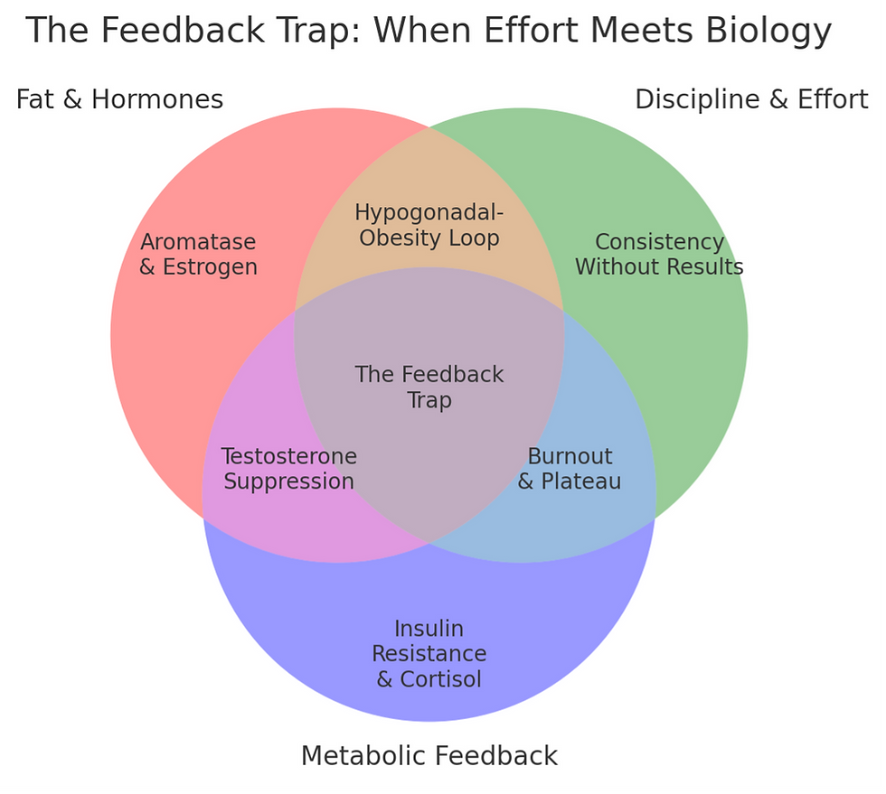 The Feedback trap: When Effort Meets Biology