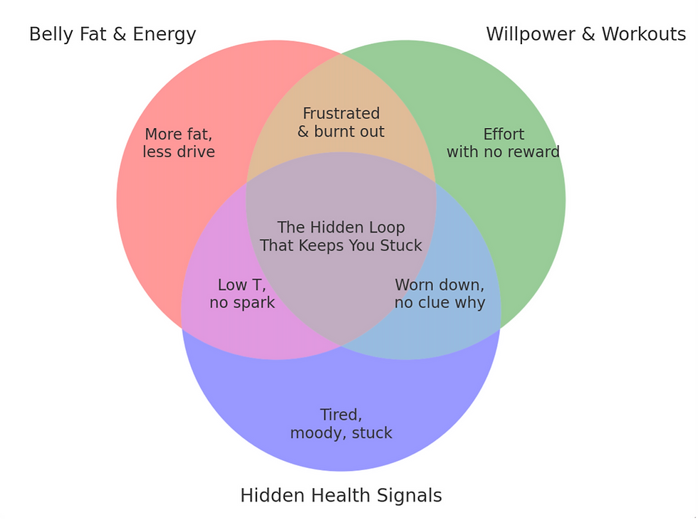 Belly Fat & Energy