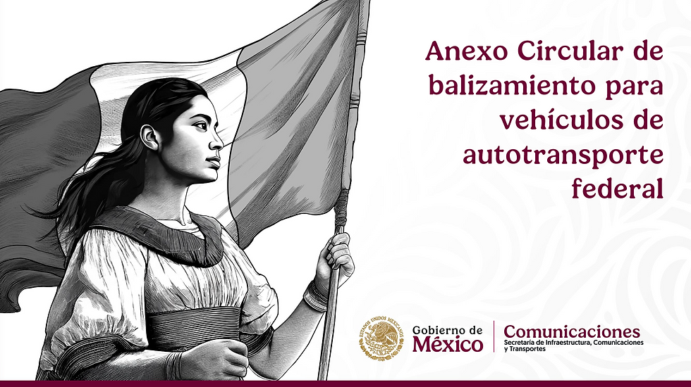 Portada oficial del Anexo Circular de balizamiento para vehículos de autotransporte federal