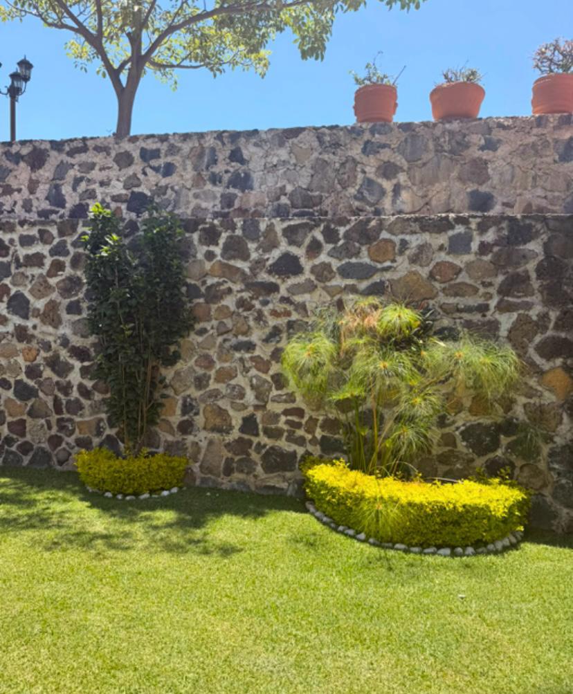 CASA Vin SoH 1 - 4
