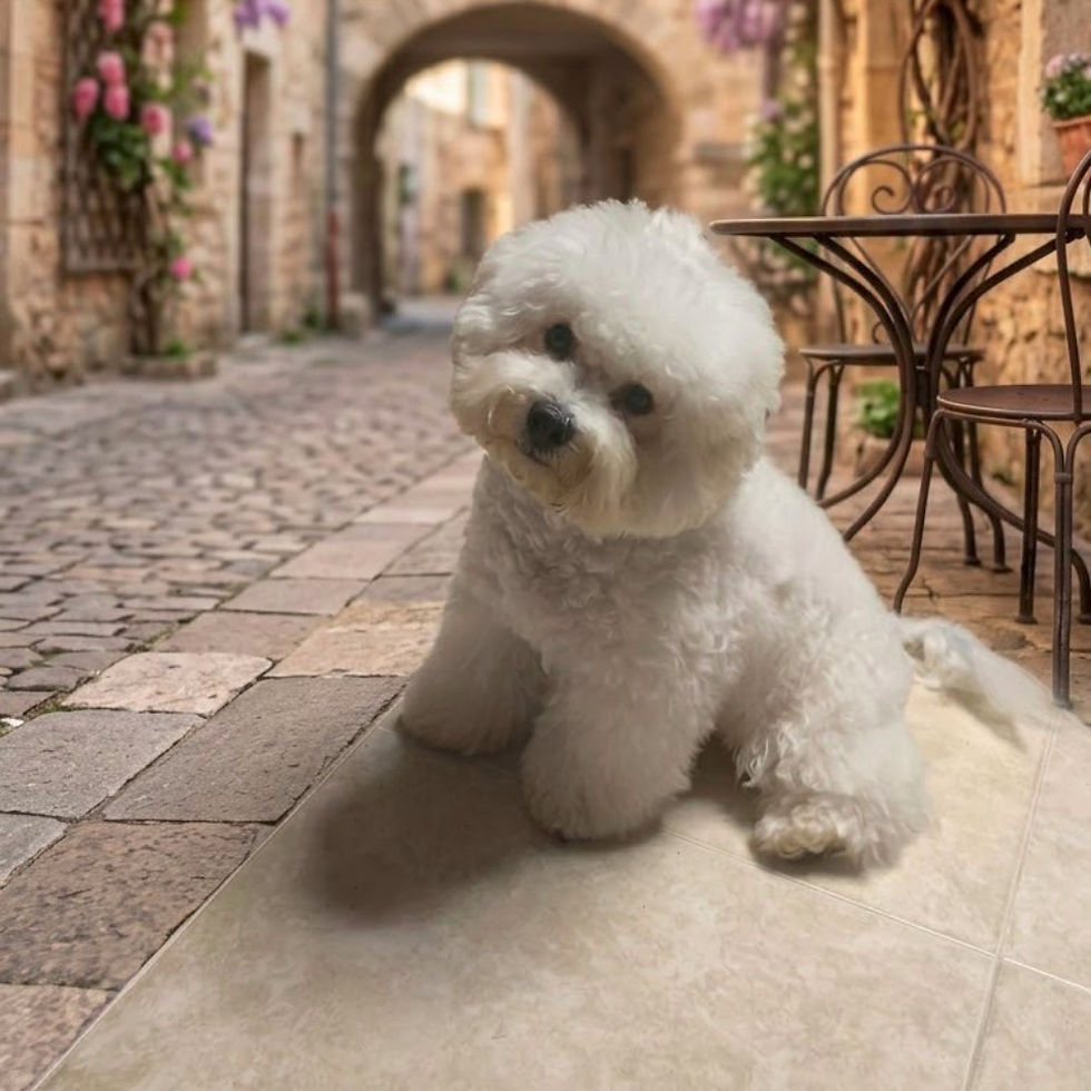 Zeus