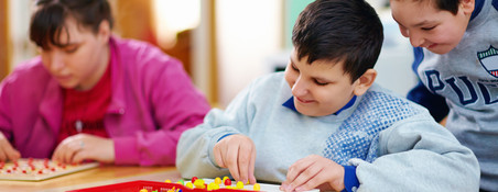 DEVELOPMENTAL DISABILITY DEFINITION IN EDUCATION visual data 6