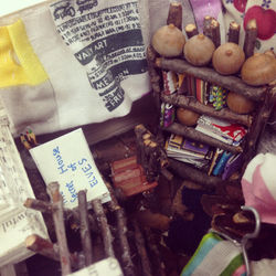 The Secret House of Elves